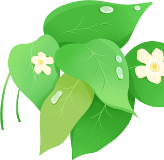 “守护绿水青山 共创文明金普”主题环保活动【第六期】