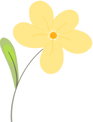 “守护绿水青山 共创文明金普”主题环保活动【第六期】