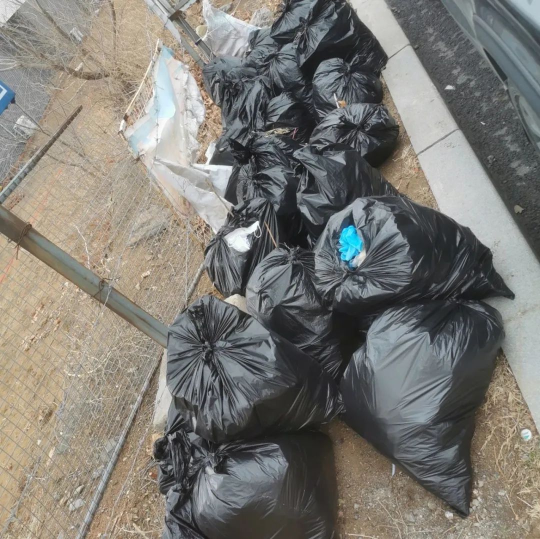 “守护绿水青山 共创文明金普”主题环保活动【第六期】