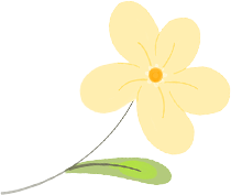 “守护绿水青山 共创文明金普”主题环保活动【第六期】