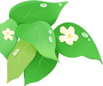 “守护绿水青山 共创文明金普”主题环保活动【第六期】