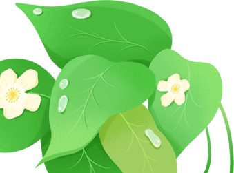 “守护绿水青山 共创文明金普”主题环保活动【第六期】