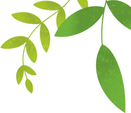 “守护绿水青山 共创文明金普”主题环保活动【第六期】